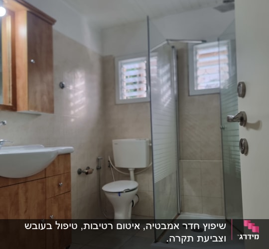 חדר אמבטיה עם מקלחון, כיור ושירותים